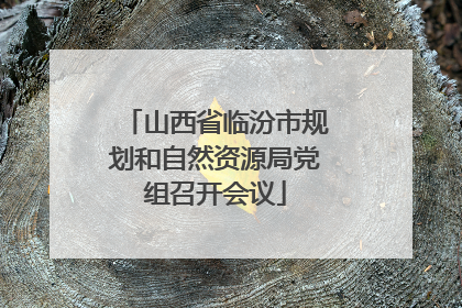 山西省临汾市规划和自然资源局党组召开会议