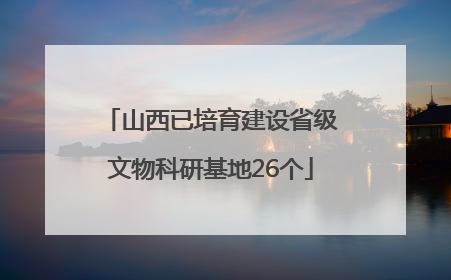 山西已培育建设省级文物科研基地26个