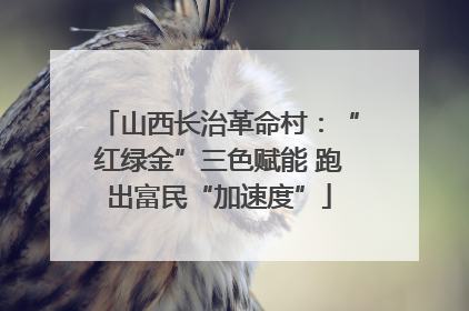 山西长治革命村：“红绿金”三色赋能 跑出富民“加速度”