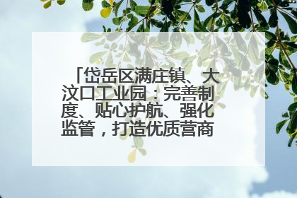 岱岳区满庄镇、大汶口工业园：完善制度、贴心护航、强化监管，打造优质营商“强磁场”