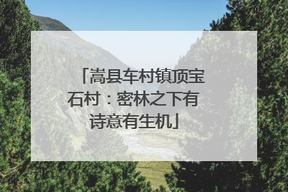 嵩县车村镇顶宝石村：密林之下有诗意有生机