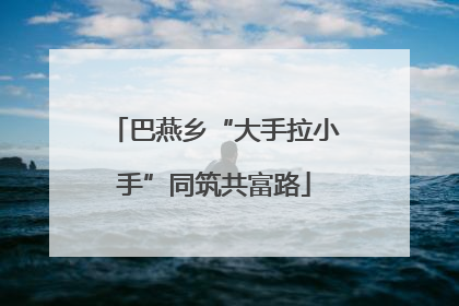 巴燕乡“大手拉小手”同筑共富路