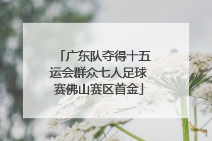 广东队夺得十五运会群众七人足球赛佛山赛区首金