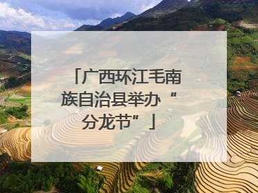 广西环江毛南族自治县举办“分龙节”
