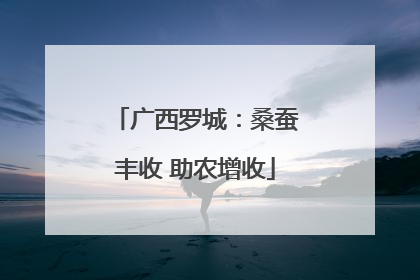 广西罗城：桑蚕丰收 助农增收