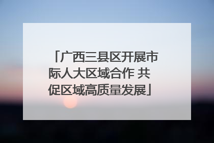 广西三县区开展市际人大区域合作 共促区域高质量发展