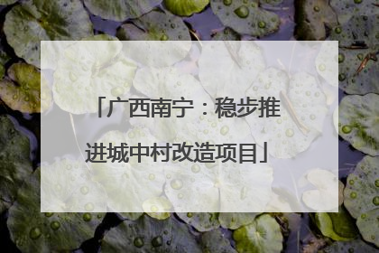 广西南宁：稳步推进城中村改造项目