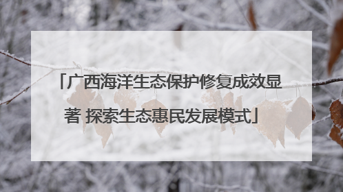 广西海洋生态保护修复成效显著 探索生态惠民发展模式