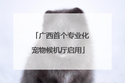 广西首个专业化宠物候机厅启用