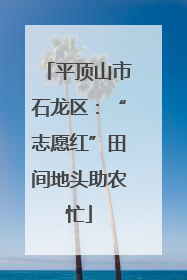 平顶山市石龙区：“志愿红”田间地头助农忙