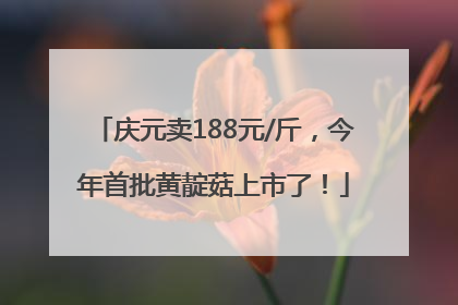 庆元卖188元/斤，今年首批黄靛菇上市了！