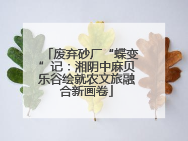 废弃砂厂“蝶变”记：湘阴中麻贝乐谷绘就农文旅融合新画卷