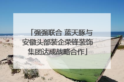 强强联合 蓝天豚与安徽头部装企荣锋装饰集团达成战略合作