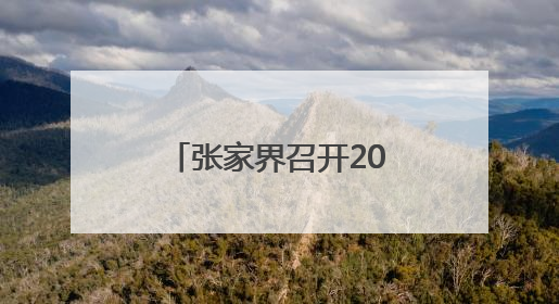 张家界召开2025年市总河长、市林长会议
