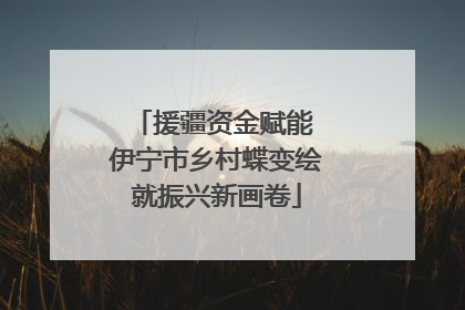 援疆资金赋能 伊宁市乡村蝶变绘就振兴新画卷