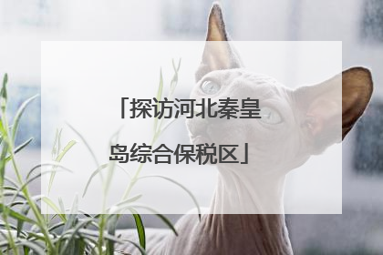探访河北秦皇岛综合保税区