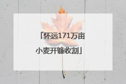 怀远171万亩小麦开镰收割
