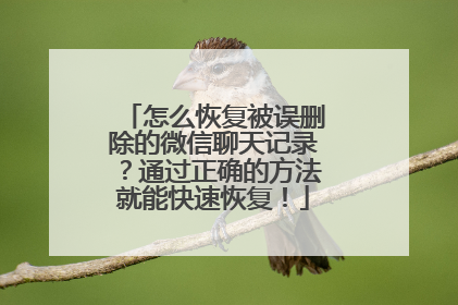 怎么恢复被误删除的微信聊天记录？通过正确的方法就能快速恢复！
