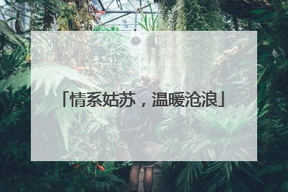 情系姑苏，温暖沧浪