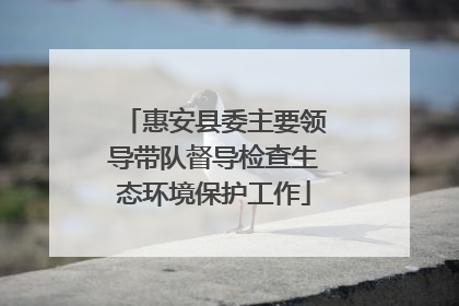 惠安县委主要领导带队督导检查生态环境保护工作