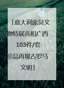 意大利庞贝文物特展亮相广西 103件/套珍品再现古罗马文明