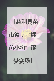 慈利县苗市镇：“绿茵小将”逐梦赛场