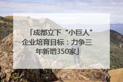 成都立下“小巨人”企业培育目标：力争三年新增350家