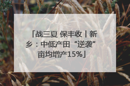 战三夏 保丰收丨新乡：中低产田“逆袭” 亩均增产15%