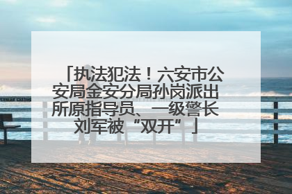 执法犯法！六安市公安局金安分局孙岗派出所原指导员、一级警长刘军被“双开”