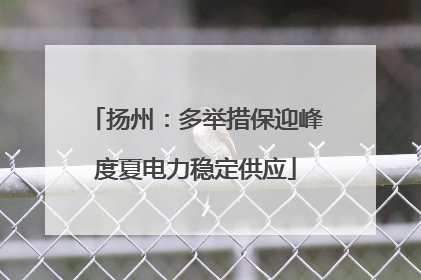 扬州：多举措保迎峰度夏电力稳定供应