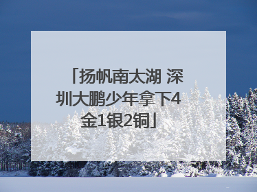 扬帆南太湖 深圳大鹏少年拿下4金1银2铜