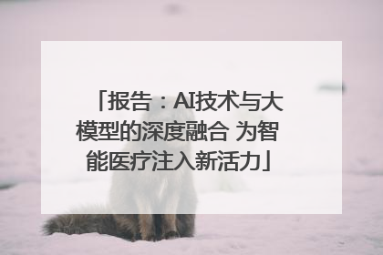 报告：AI技术与大模型的深度融合 为智能医疗注入新活力