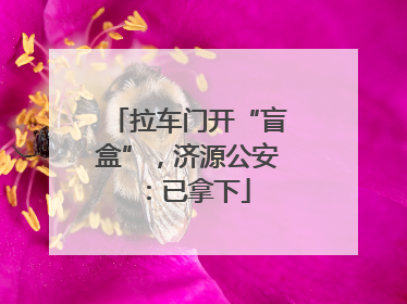 拉车门开“盲盒”，济源公安：已拿下