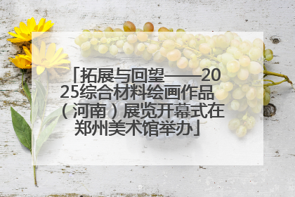 拓展与回望——2025综合材料绘画作品（河南）展览开幕式在郑州美术馆举办