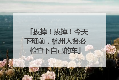 拔掉！拔掉！今天下班前，杭州人务必检查下自己的车