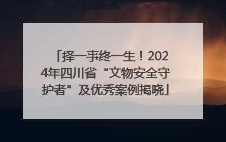 择一事终一生！2024年四川省“文物安全守护者”及优秀案例揭晓