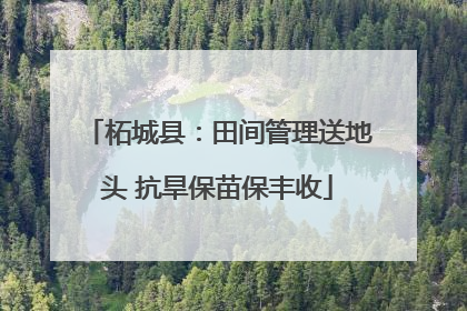 柘城县：田间管理送地头 抗旱保苗保丰收