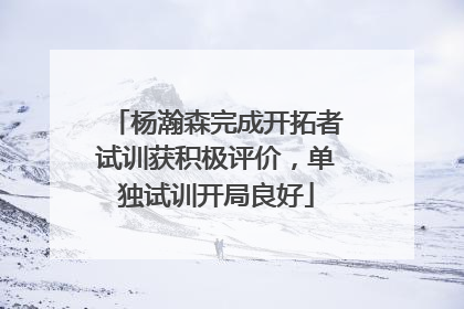 杨瀚森完成开拓者试训获积极评价，单独试训开局良好