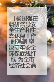 杨国强在调研督导安全生产和生态环保工作时强调 坚决守牢安全环保底线红线 为全市经济社会高质量发展提供坚强保障