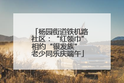 杨园街道铁机路社区：“红领巾”相约“银发族” 老少同乐庆端午