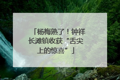 杨梅熟了！钟祥长滩镇收获“舌尖上的惊喜”