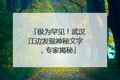 极为罕见！武汉江边发现神秘文字，专家揭秘