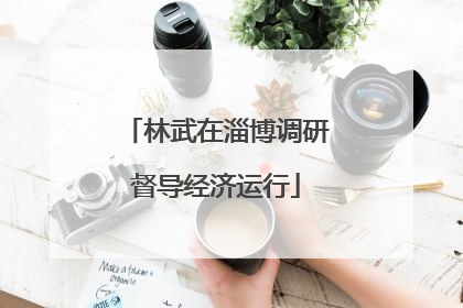 林武在淄博调研督导经济运行