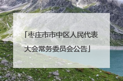 枣庄市市中区人民代表大会常务委员会公告