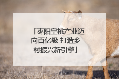 枣阳皇桃产业迈向百亿级 打造乡村振兴新引擎