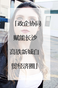 政企协同 赋能长沙高铁新城自贸经济圈