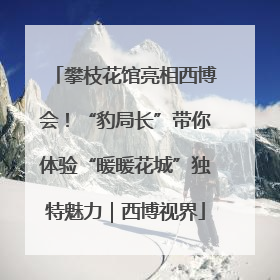攀枝花馆亮相西博会！“豹局长”带你体验“暖暖花城”独特魅力｜西博视界