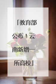 教育部公布！云南新增一所高校