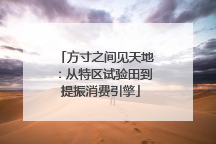 方寸之间见天地：从特区试验田到提振消费引擎