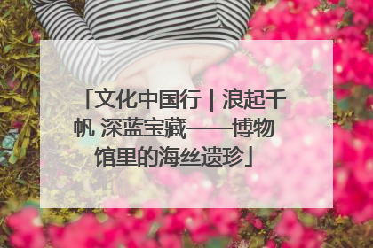 文化中国行｜浪起千帆 深蓝宝藏——博物馆里的海丝遗珍